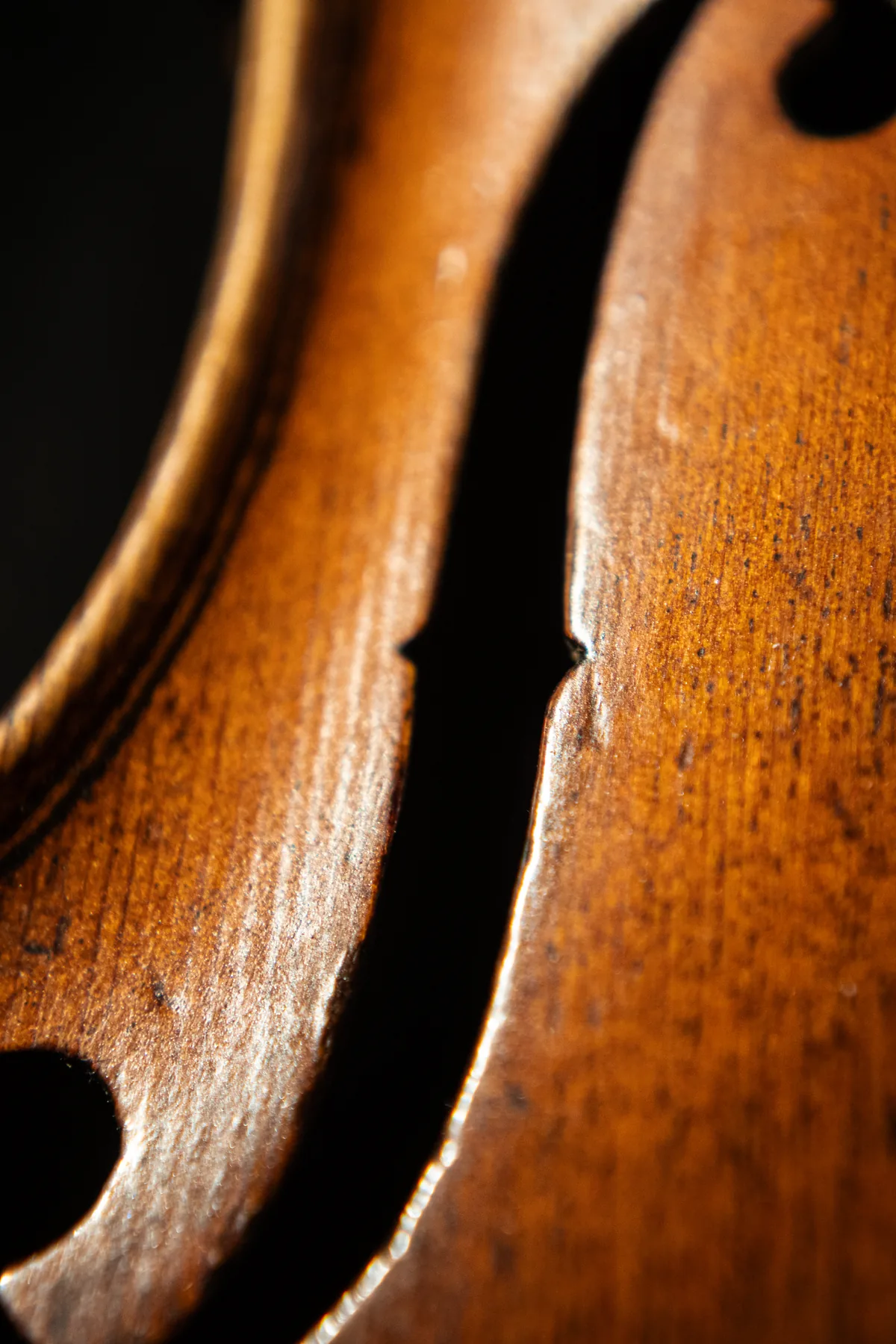 Cours de violon particulier à Saint-Laurent-du-Var